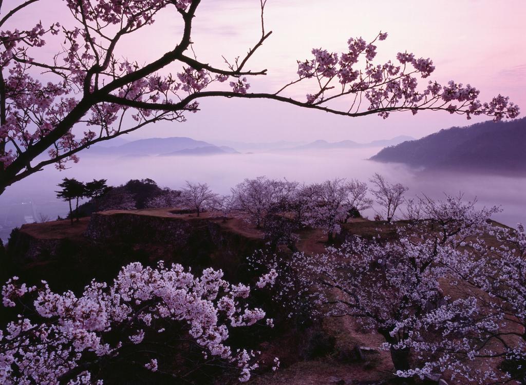 En Takeda Castle Town Hotel Asago Exteriör bild